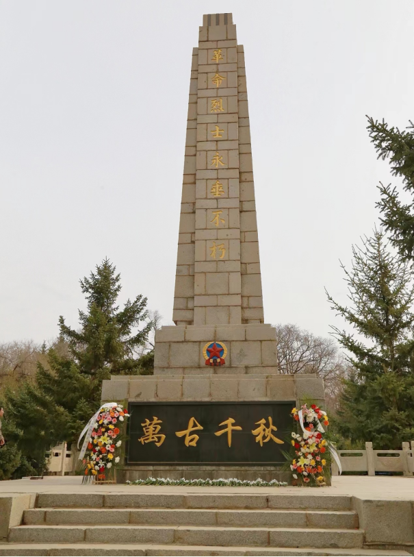 1703487934316.jpg